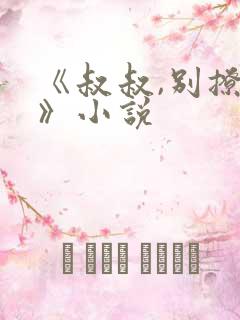 《叔叔,别撩我》小说