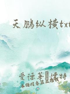 天鹏纵横txt