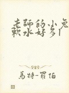 老师的小兔子好软水好多l