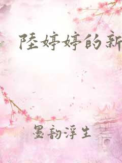 陆婷婷的新故事