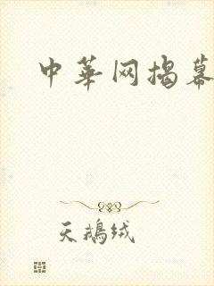 中华网揭幕内参