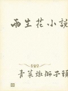 两生花小说