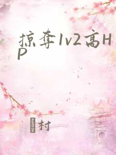 掠夺1v2高HP