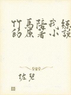 竹马陪我练技术的原著小说