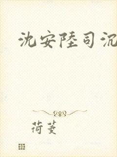 沈安陆司沉小说