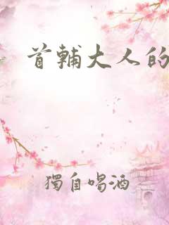 首辅大人的套路