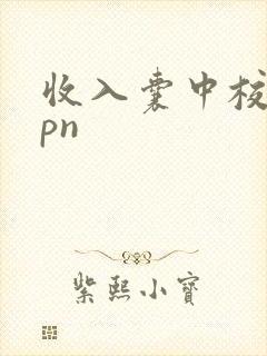 收入囊中校园hpn