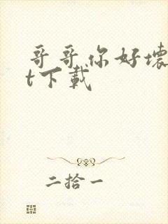 哥哥你好坏txt下载