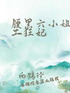 腹黑六小姐 特工狂妃