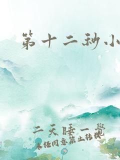 第十二秒小说