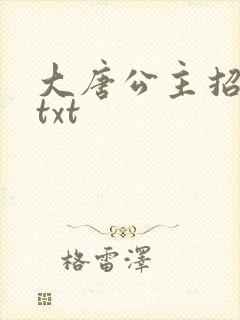 大唐公主招亲记txt