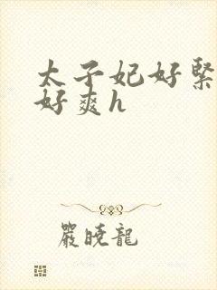 太子妃好紧皇上好爽h