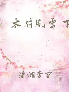木府风云 下载