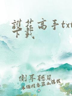 护花高手txt下载