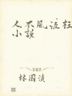 人不风流枉少年小说