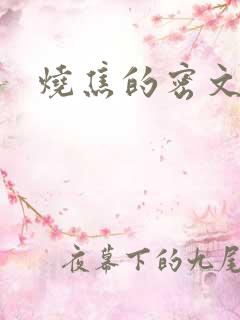 烧焦的密文