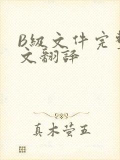 B级文件完整中文翻译