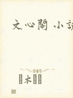 文心阁 小说