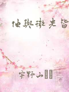 他与微光皆倾城