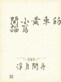 开小黄车的细腻描写