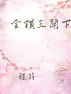 金锁玉关下载