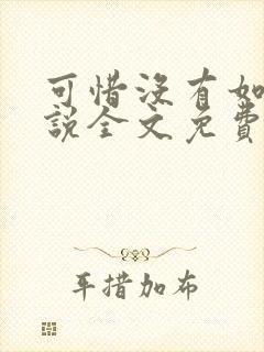 可惜没有如果小说全文免费阅读