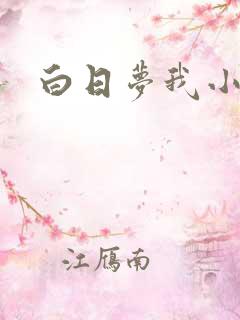 白日梦我小说
