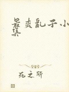 最爽乱子小说合集