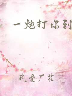 一炮打你到天亮