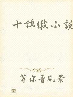 十锦缎小说