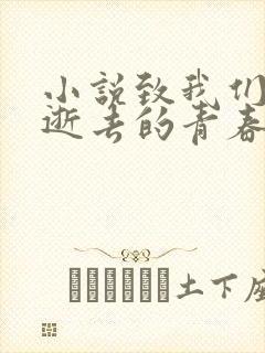 小说致我们终将逝去的青春