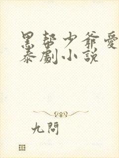 黑帮少爷爱上我泰剧小说