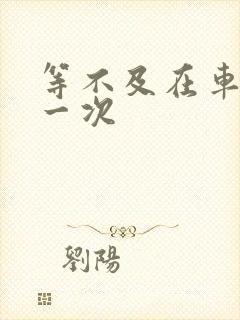 等不及在车里做一次