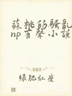 苏桃的骚乱文肉np有声小说