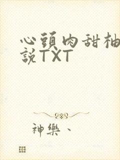 心头肉甜柚子小说TXT