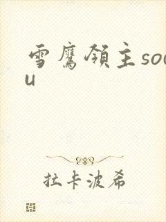 雪鹰领主sodu
