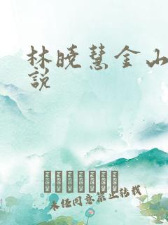 林晓慧金山的小说