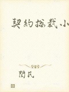 契约总裁小萌宝