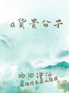 a货贵公子