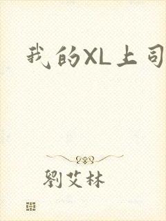 我的XL上司