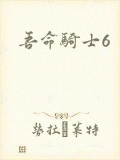 吾命骑士6