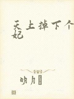 天上掉下个奇王妃