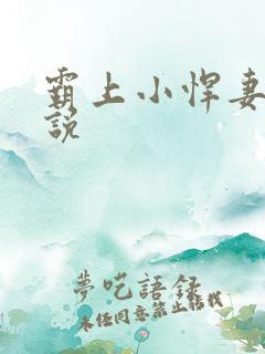 霸上小悍妻 小说