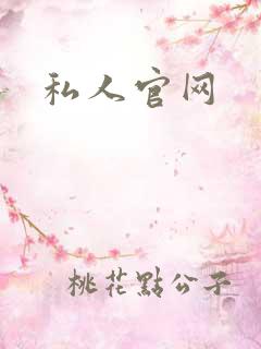 私人官网