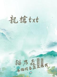 龙枪txt
