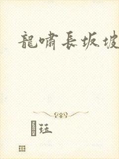 龙啸长坂坡