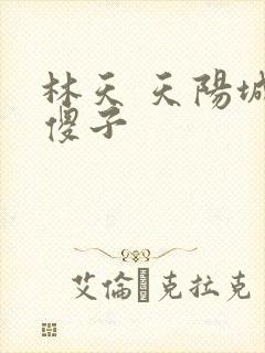 林天 天阳城 傻子