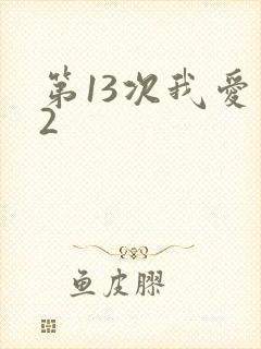 第13次我爱你2