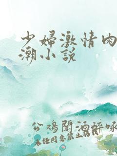 少妇激情肉欲高潮小说