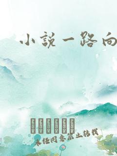 小说一路向西